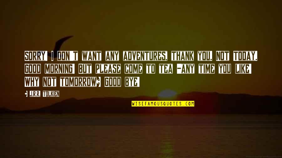 R.i.p Quotes By J.R.R. Tolkien: Sorry! I don't want any adventures, thank you.