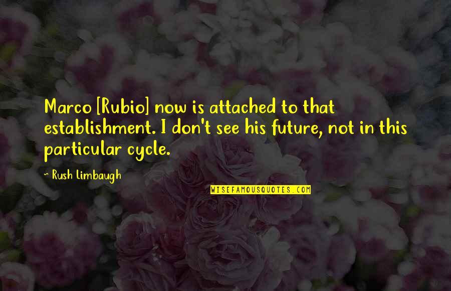 R R Cycle Quotes By Rush Limbaugh: Marco [Rubio] now is attached to that establishment.