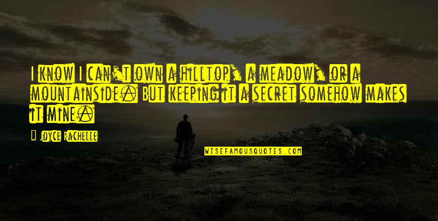 Rachelle Quotes By Joyce Rachelle: I know I can't own a hilltop, a