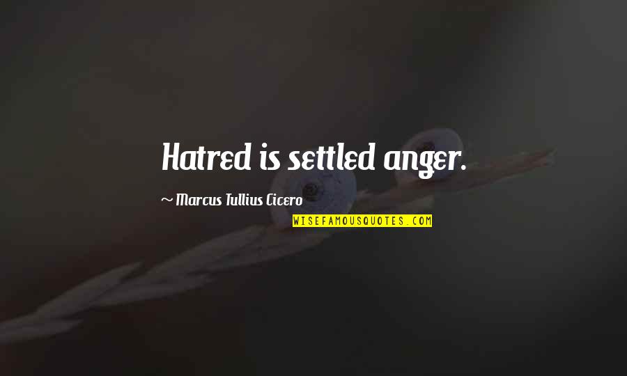 Racism In Mississippi Burning Quotes By Marcus Tullius Cicero: Hatred is settled anger.