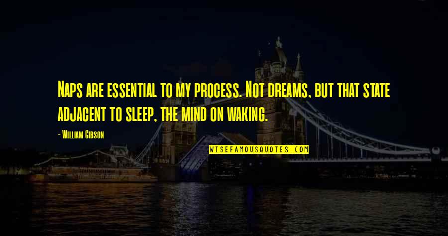 Rae Sremmurd Quotes By William Gibson: Naps are essential to my process. Not dreams,