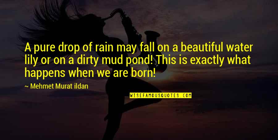 Rain Drop Quotes By Mehmet Murat Ildan: A pure drop of rain may fall on