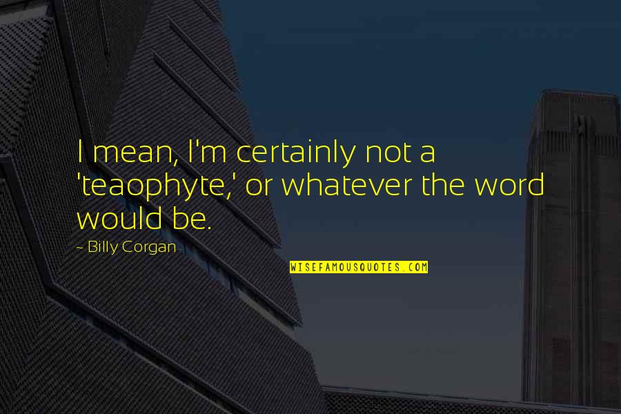 Raja Shivchatrapati Quotes By Billy Corgan: I mean, I'm certainly not a 'teaophyte,' or