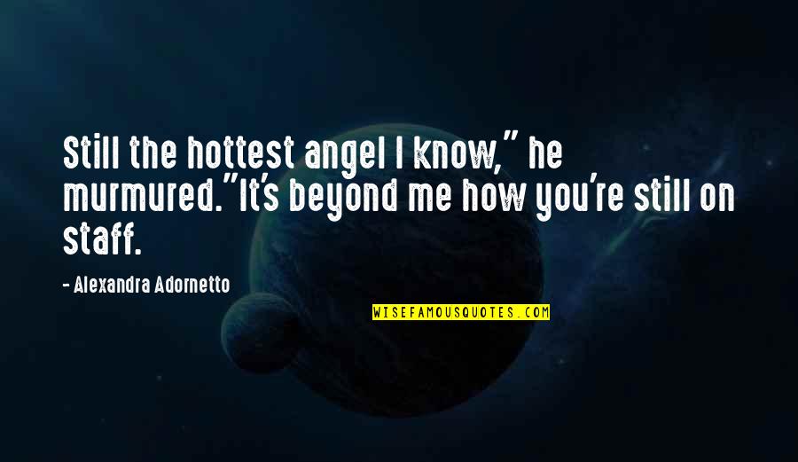 Ramasse Pierre Quotes By Alexandra Adornetto: Still the hottest angel I know," he murmured."It's