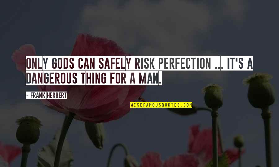 Ramsey Musallam Quotes By Frank Herbert: Only gods can safely risk perfection ... it's