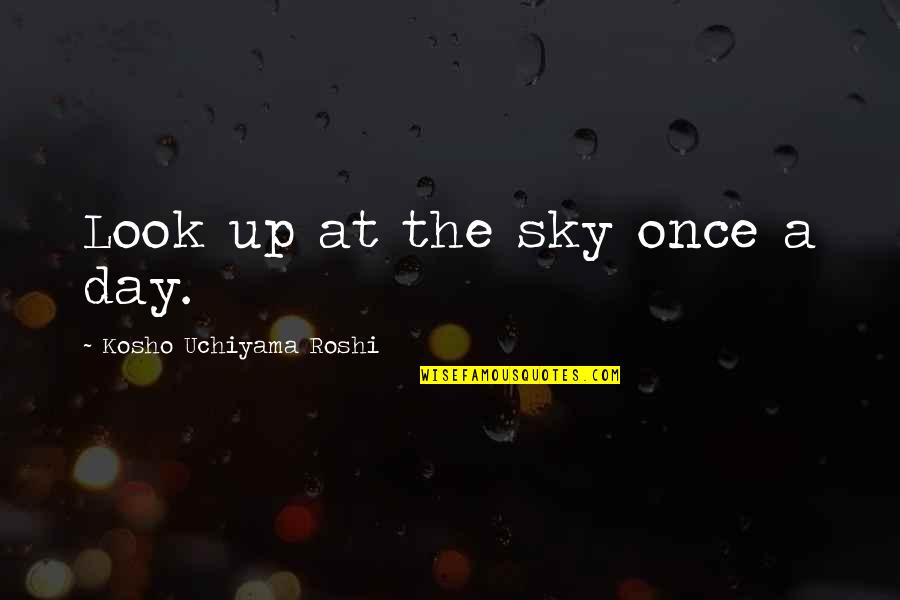 Rarely Famous Quotes By Kosho Uchiyama Roshi: Look up at the sky once a day.