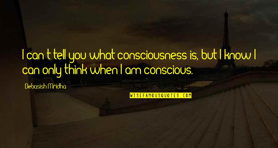 Rasband Allison Quotes By Debasish Mridha: I can't tell you what consciousness is, but