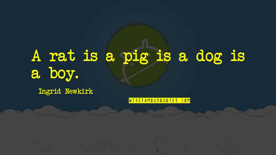 Rat Boy Quotes By Ingrid Newkirk: A rat is a pig is a dog