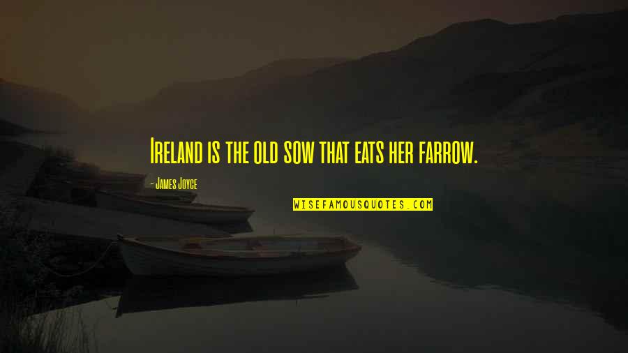 Reading For Middle School Quotes By James Joyce: Ireland is the old sow that eats her