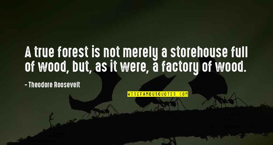 Real Estate Staging Quotes By Theodore Roosevelt: A true forest is not merely a storehouse