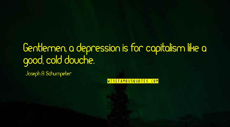 Really Douche Quotes By Joseph A. Schumpeter: Gentlemen, a depression is for capitalism like a