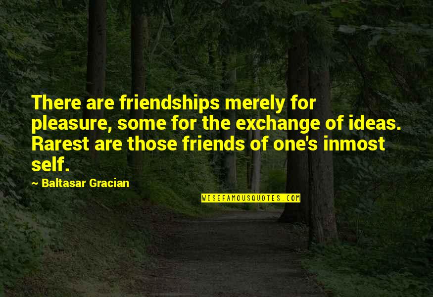 Reason And Decision Quotes By Baltasar Gracian: There are friendships merely for pleasure, some for