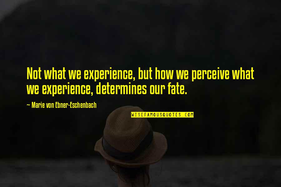 Reassigned Quotes By Marie Von Ebner-Eschenbach: Not what we experience, but how we perceive