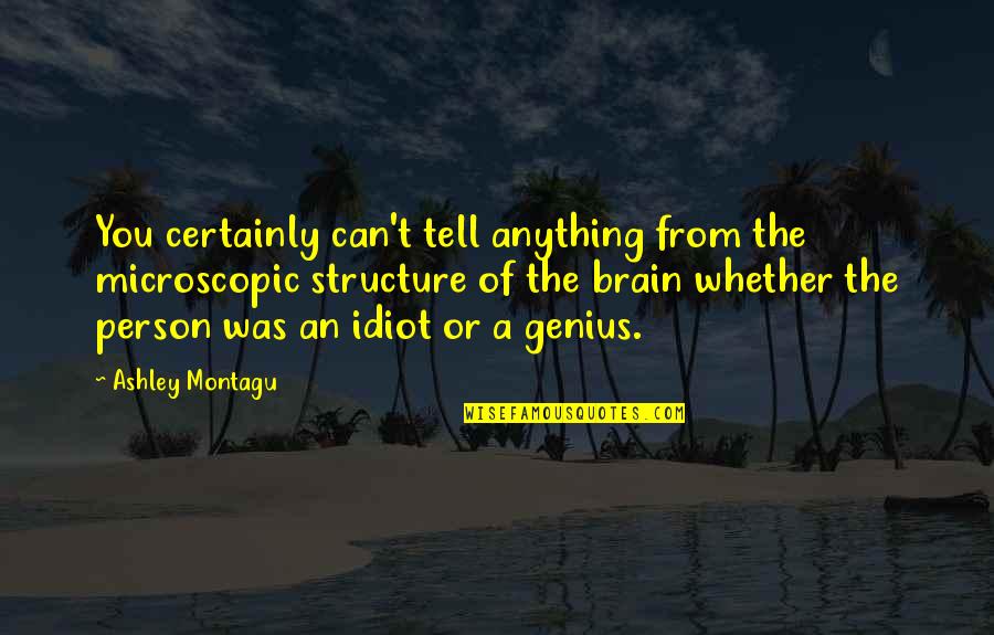 Reconociendo La Quotes By Ashley Montagu: You certainly can't tell anything from the microscopic