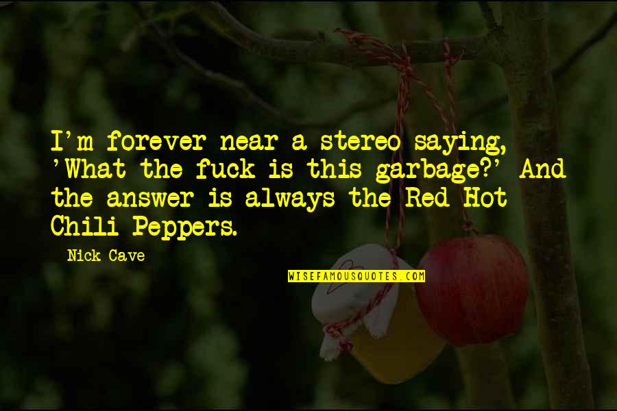 Red Hot Chili Peppers Quotes By Nick Cave: I'm forever near a stereo saying, 'What the