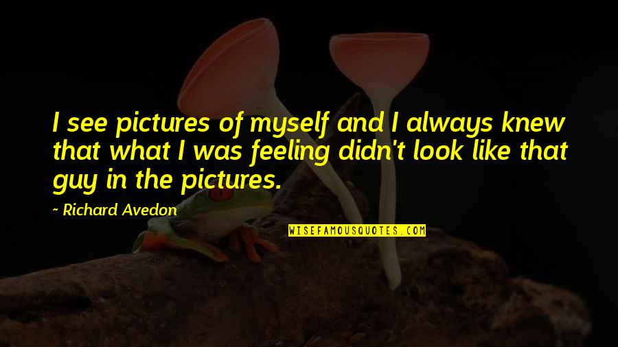 Reddishness Of The Eyes Quotes By Richard Avedon: I see pictures of myself and I always