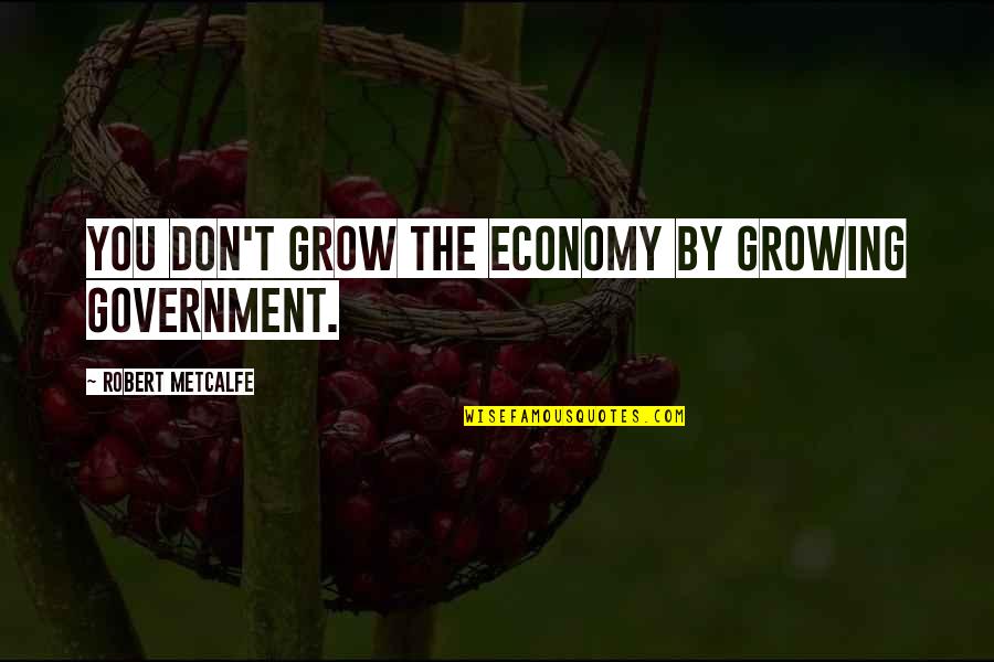 Reemergence Def Quotes By Robert Metcalfe: You don't grow the economy by growing government.