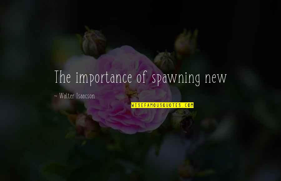 Referera Till Barnkonventionen Quotes By Walter Isaacson: The importance of spawning new