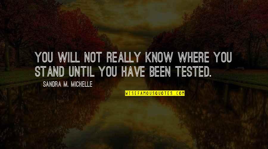 Reflection Life Quotes By Sandra M. Michelle: You will not really know where you stand