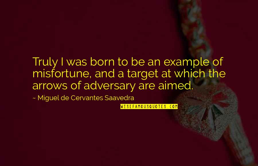 Reformer Martin Luther Quotes By Miguel De Cervantes Saavedra: Truly I was born to be an example