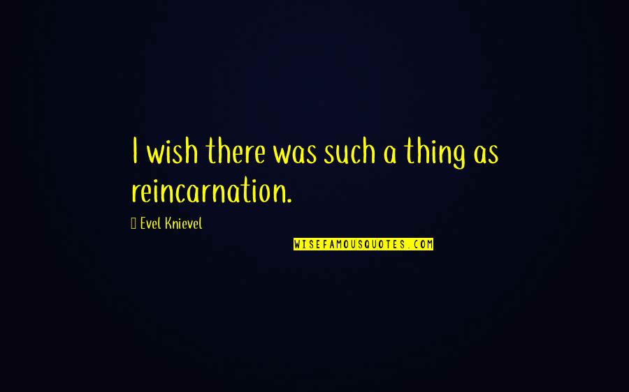 Reincarnation Quotes By Evel Knievel: I wish there was such a thing as