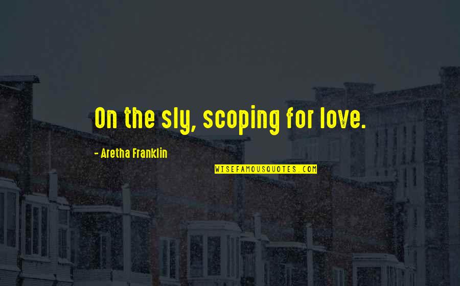 Reininga Indianapolis Quotes By Aretha Franklin: On the sly, scoping for love.