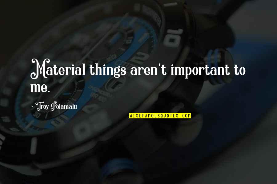 Reinscription Quotes By Troy Polamalu: Material things aren't important to me.