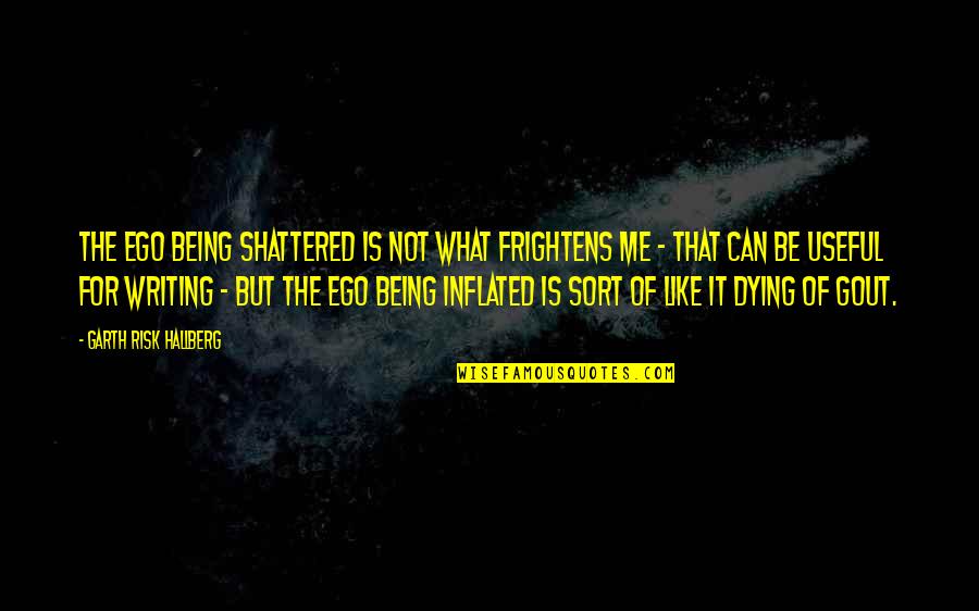 Relacionar Interculturalidade Quotes By Garth Risk Hallberg: The ego being shattered is not what frightens