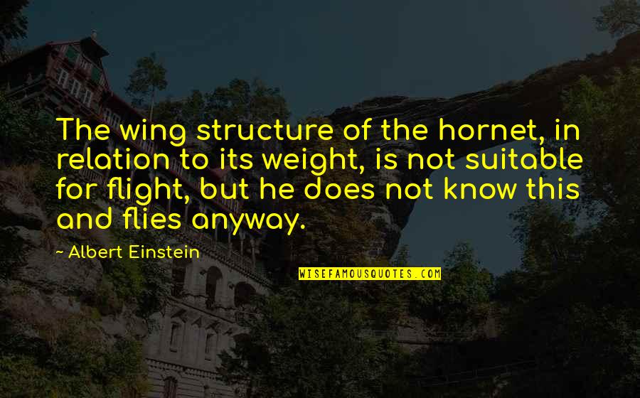 Relation Quotes By Albert Einstein: The wing structure of the hornet, in relation