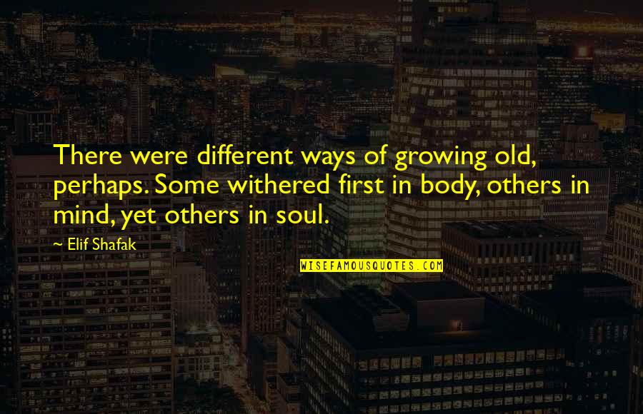 Relationship 6th Love Anniversary Quotes By Elif Shafak: There were different ways of growing old, perhaps.