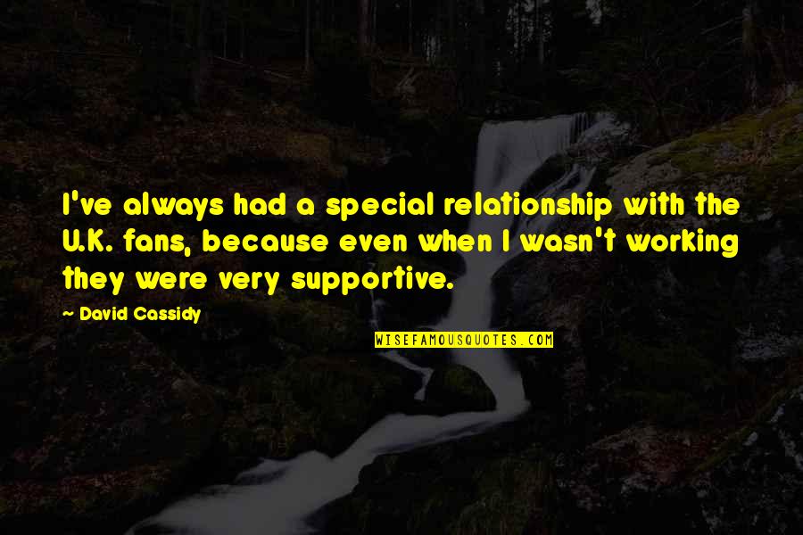 Relationship Working It Out Quotes By David Cassidy: I've always had a special relationship with the