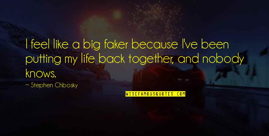 Remembering Something Special Quotes By Stephen Chbosky: I feel like a big faker because I've