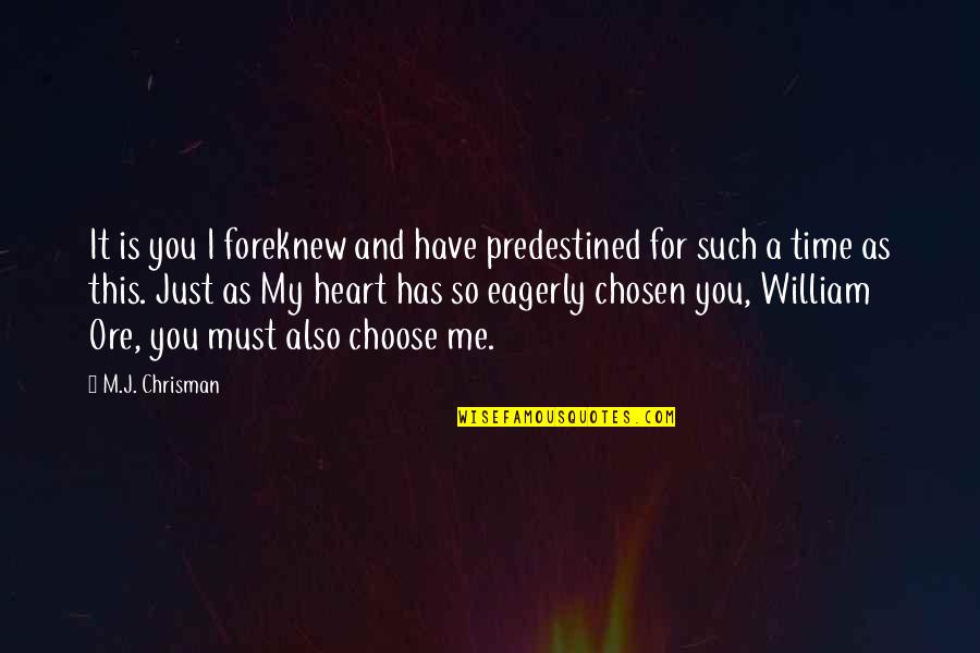 Remnant Quotes By M.J. Chrisman: It is you I foreknew and have predestined