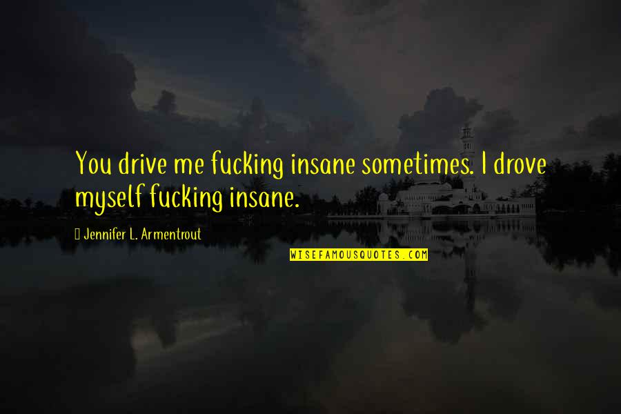 Renovasi Rumah Quotes By Jennifer L. Armentrout: You drive me fucking insane sometimes. I drove