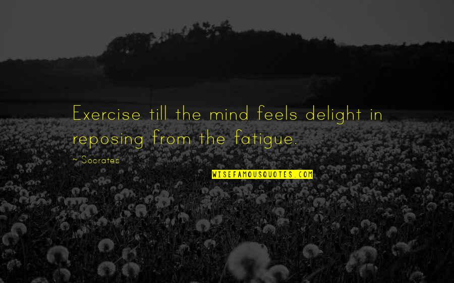 Reposing Quotes By Socrates: Exercise till the mind feels delight in reposing