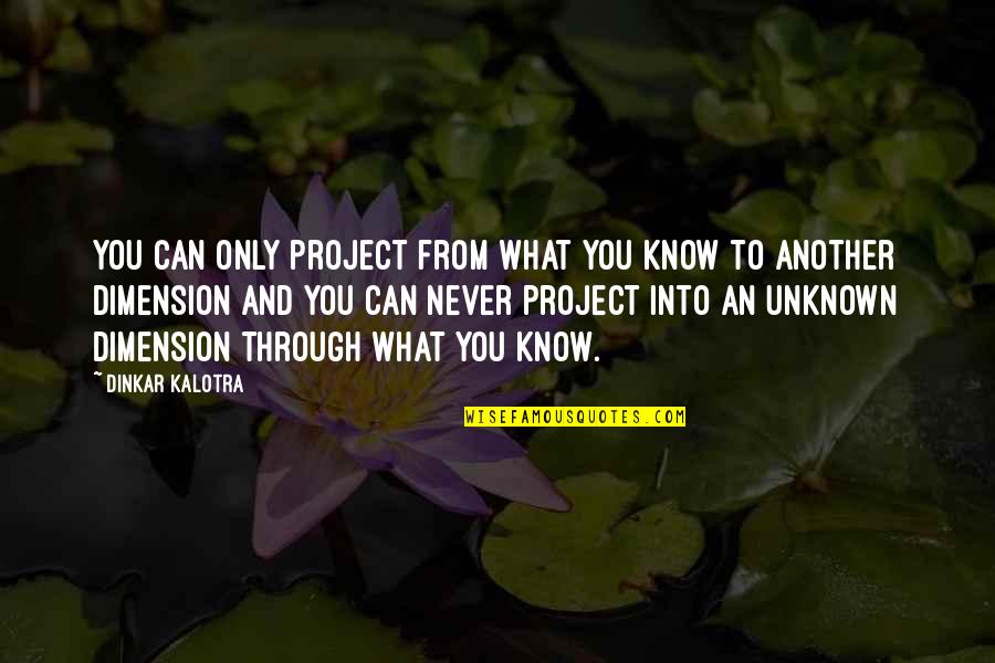 Resistants Quotes By Dinkar Kalotra: You can only project from what you know