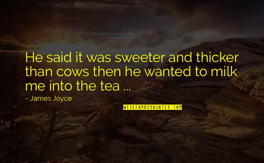Respect Opinions Of Others Quotes By James Joyce: He said it was sweeter and thicker than