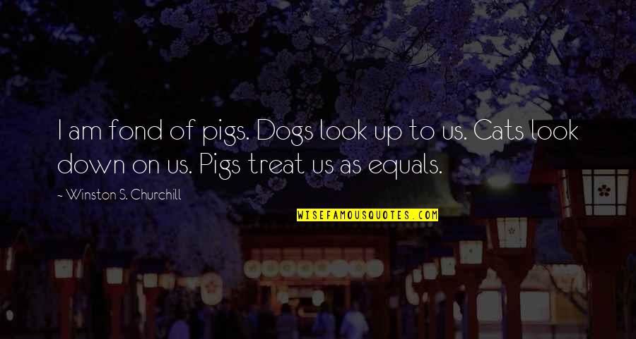 Respect The Animals Quotes By Winston S. Churchill: I am fond of pigs. Dogs look up