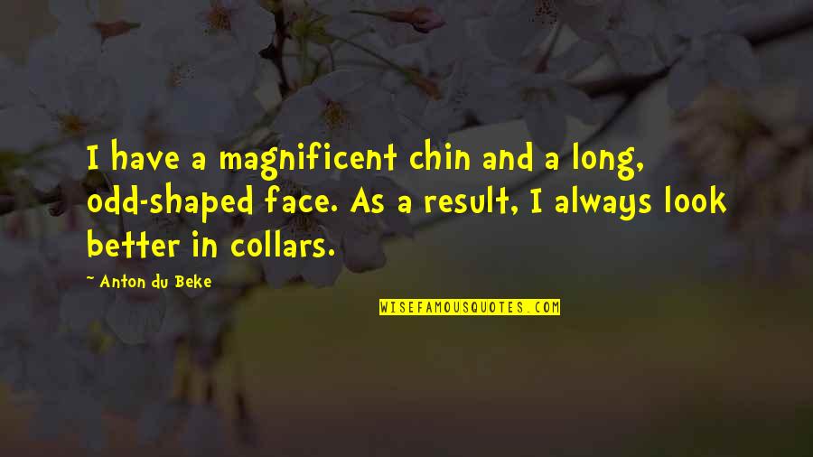 Retaggio Significato Quotes By Anton Du Beke: I have a magnificent chin and a long,