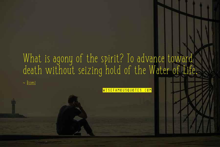 Revathi Daughter Quotes By Rumi: What is agony of the spirit? To advance