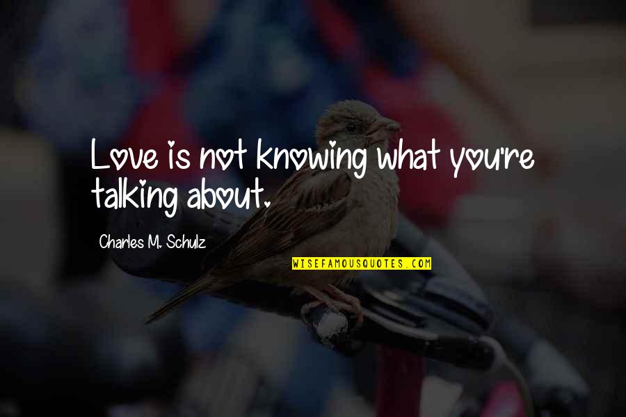 Reverdy Ducroux Quotes By Charles M. Schulz: Love is not knowing what you're talking about.