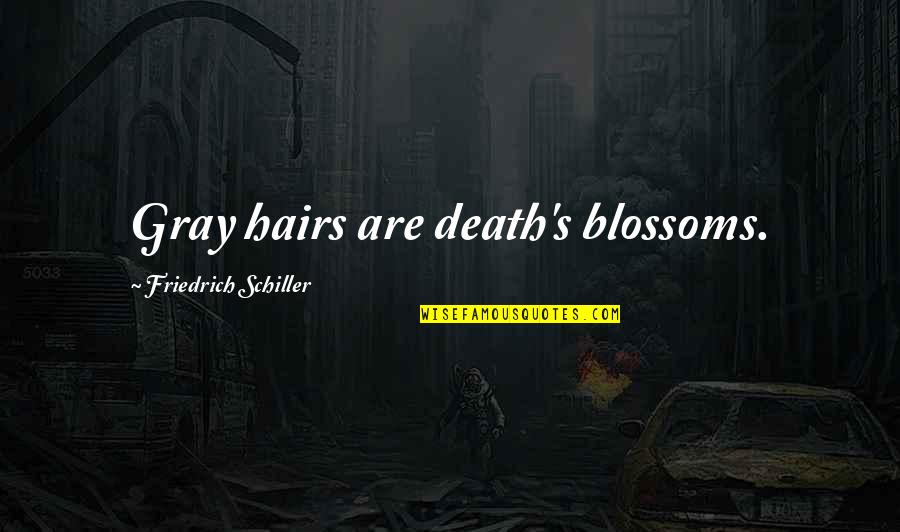 Rhodericks Quality Quotes By Friedrich Schiller: Gray hairs are death's blossoms.