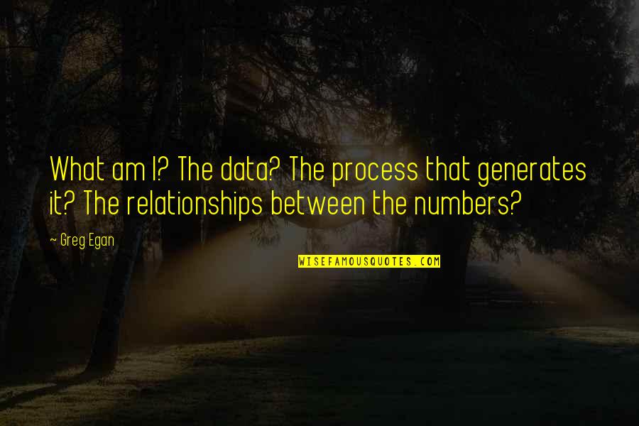 Rib Cage Quotes By Greg Egan: What am I? The data? The process that