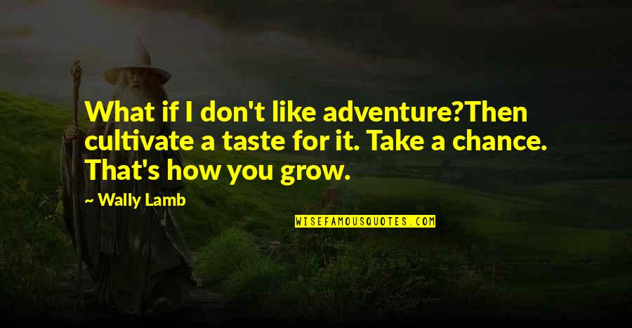 Rich Girl And Poor Boy Love Quotes By Wally Lamb: What if I don't like adventure?Then cultivate a