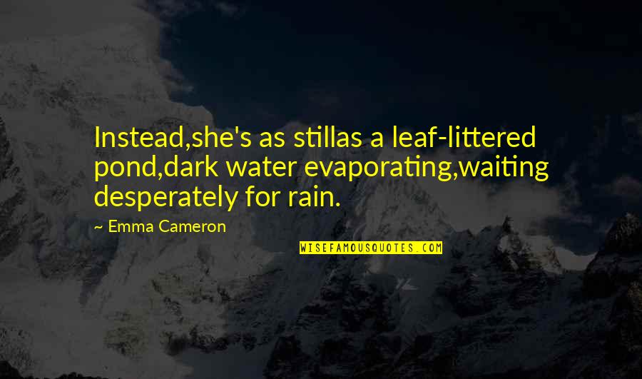 Rick James Love Quotes By Emma Cameron: Instead,she's as stillas a leaf-littered pond,dark water evaporating,waiting