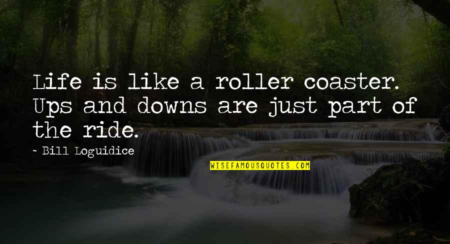 Ride And Life Quotes By Bill Loguidice: Life is like a roller coaster. Ups and