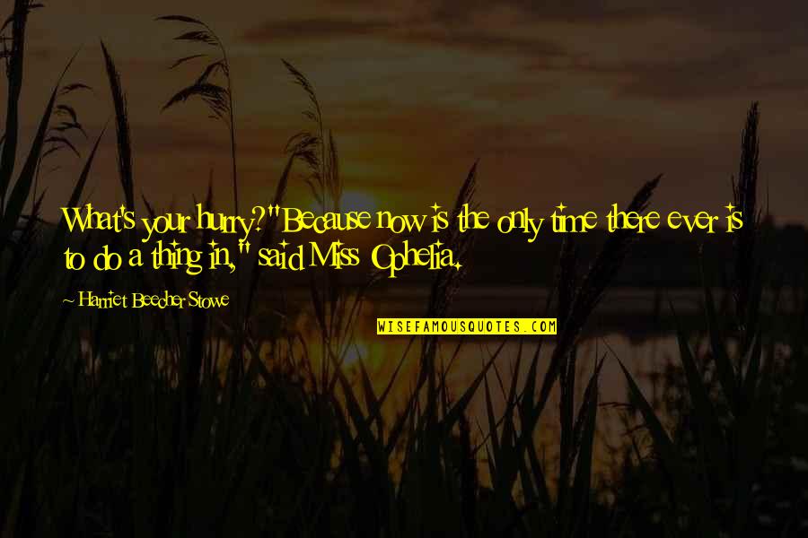 Rigaux Meubles Quotes By Harriet Beecher Stowe: What's your hurry?"Because now is the only time