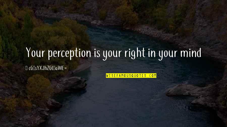 Right Mind Quotes By CG9sYXJhZGl0aWE=: Your perception is your right in your mind