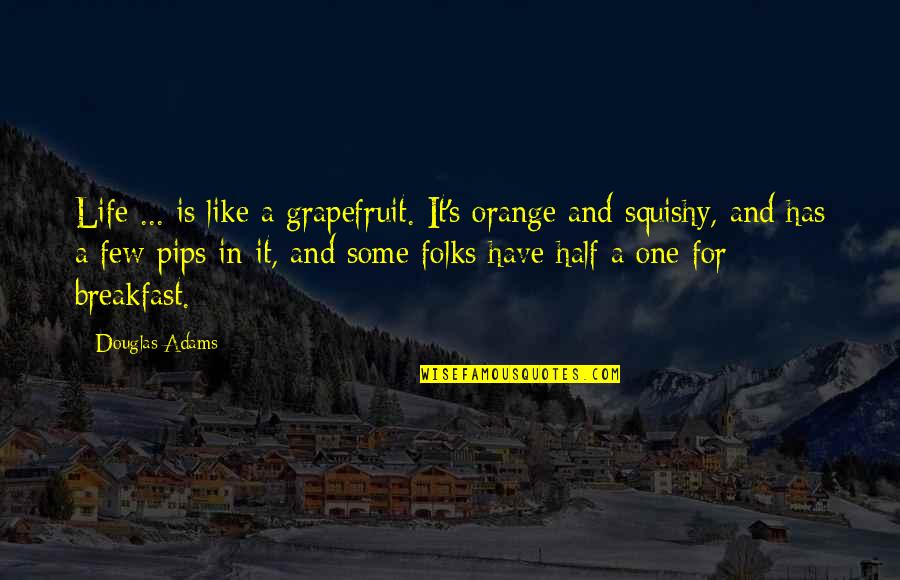 Righteous Conduct Quotes By Douglas Adams: Life ... is like a grapefruit. It's orange