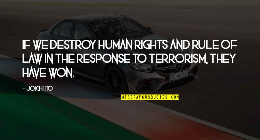 Rights As A Human Quotes By Joichi Ito: If we destroy human rights and rule of